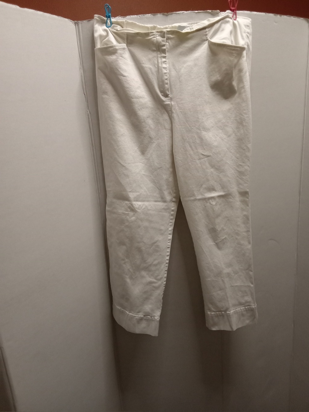 J. McLaughlin Women’s Ivory White Pull On Pants Straight Leg Pockets A9